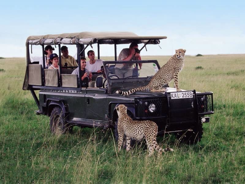 Travel Adventure